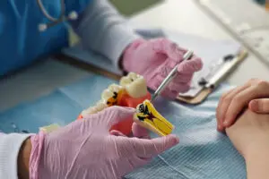 Dentist demonstrates dental procedures using a model in a clinic during a training session